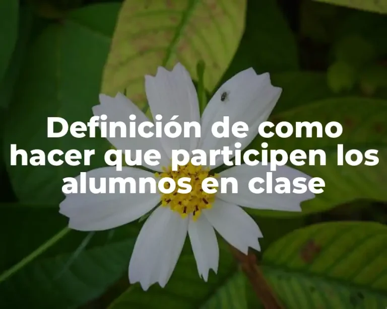 Definición de como hacer que participen los alumnos en clase