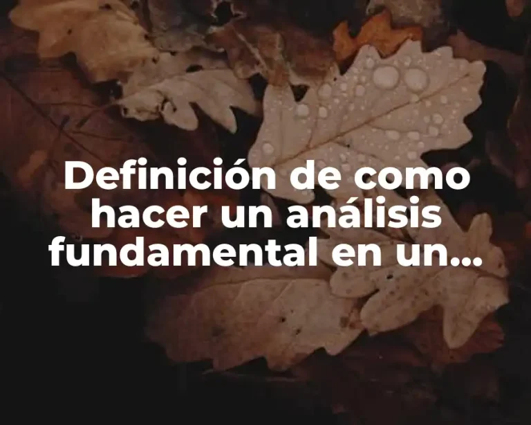 Definición de como hacer un análisis fundamental en un estado financiero