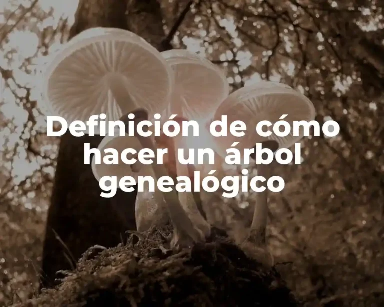 Definición de cómo hacer un árbol genealógico