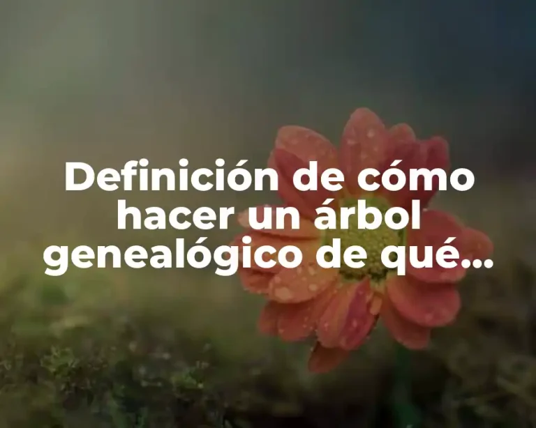 Definición de cómo hacer un árbol genealógico de qué material