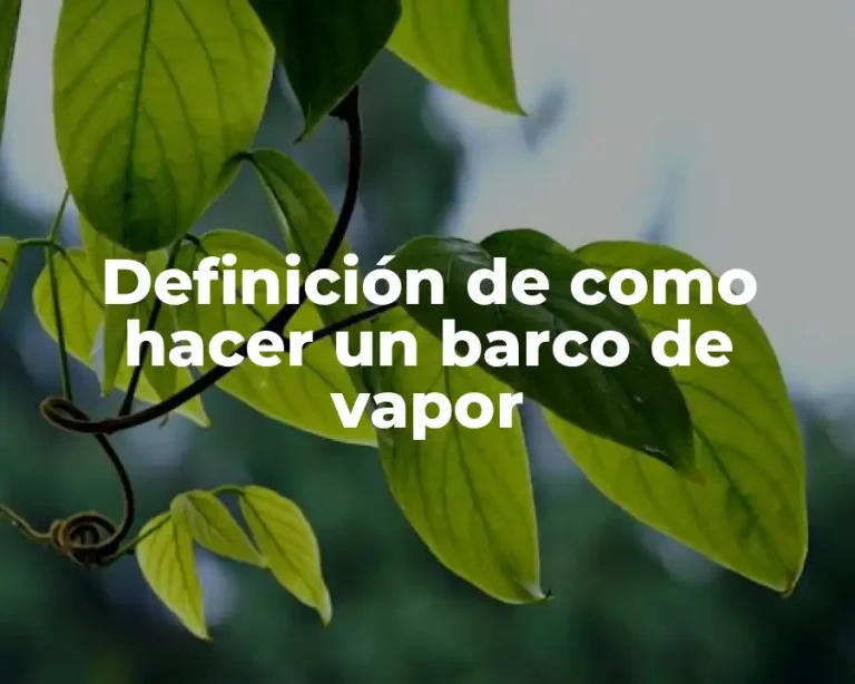 Definición de como hacer un barco de vapor