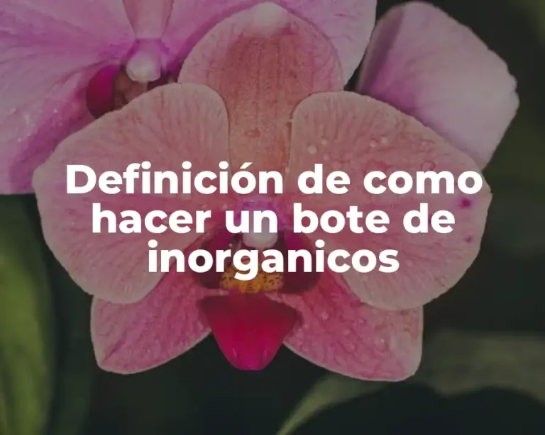 Definición de como hacer un bote de inorganicos