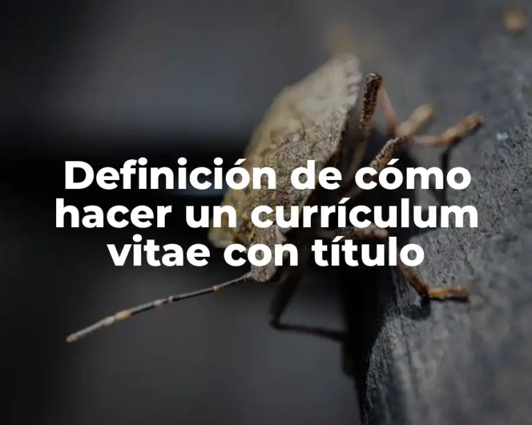 Definición de cómo hacer un currículum vitae con título
