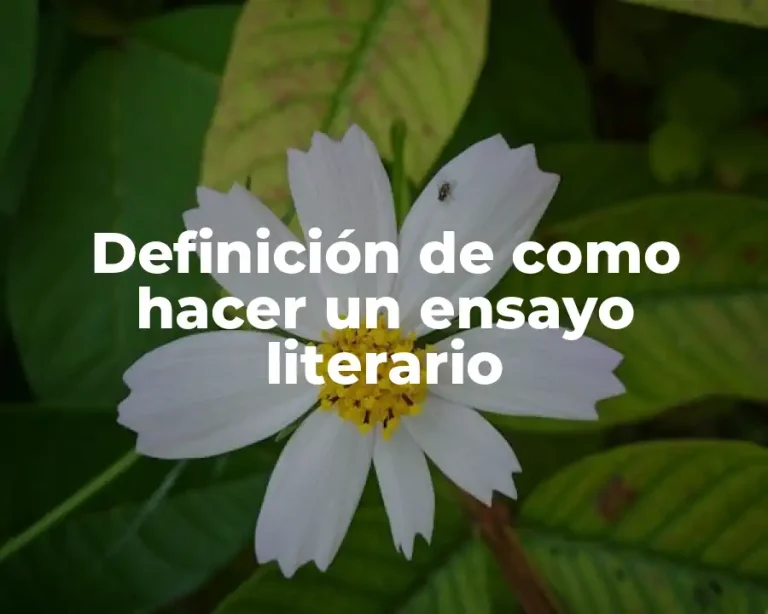 Definición de como hacer un ensayo literario