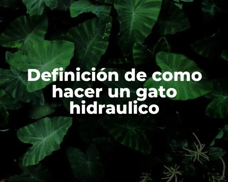 Definición de como hacer un gato hidraulico