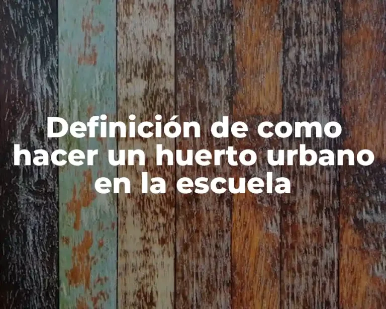 Definición de como hacer un huerto urbano en la escuela