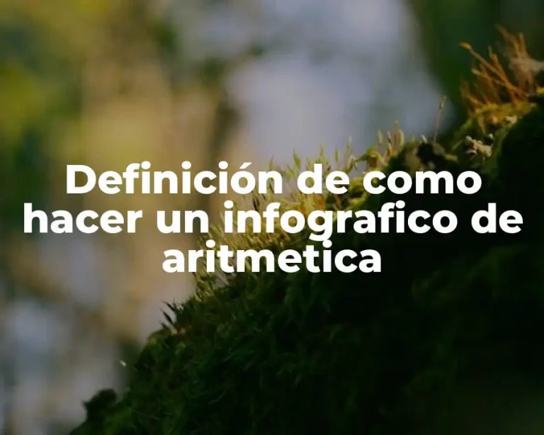 Definición de como hacer un infografico de aritmetica