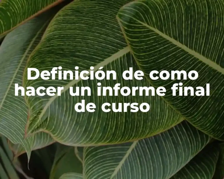 Definición de como hacer un informe final de curso