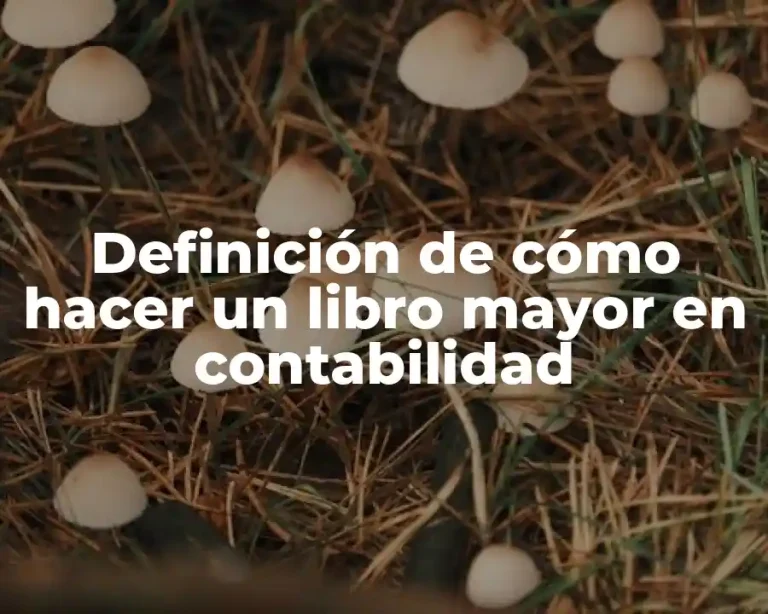 Definición de cómo hacer un libro mayor en contabilidad