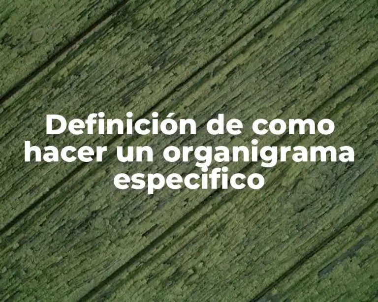 Definición de como hacer un organigrama especifico