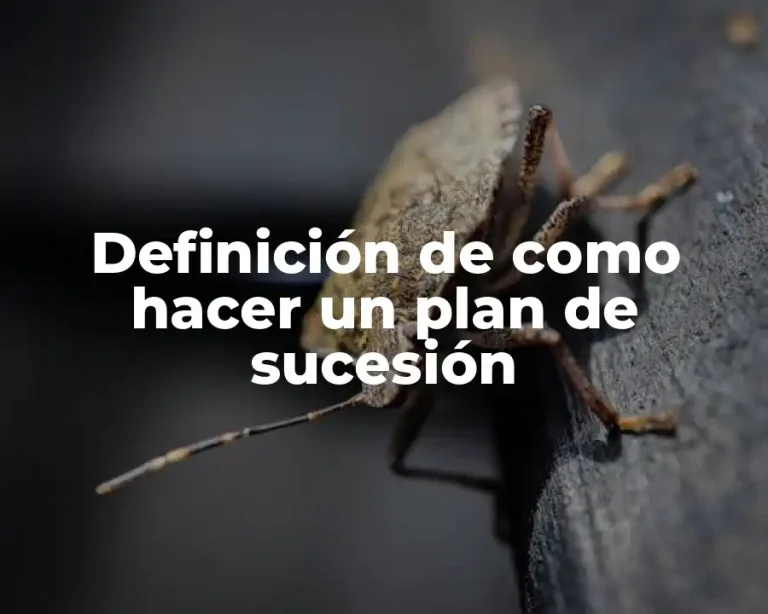 Definición de como hacer un plan de sucesión