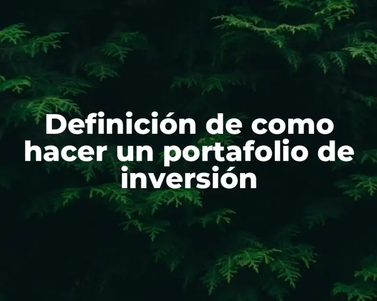 Definición de como hacer un portafolio de inversión