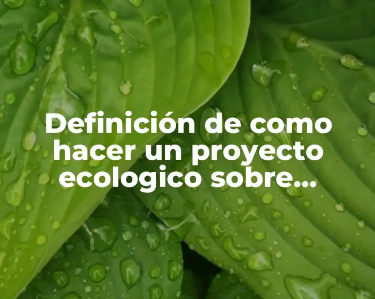 Definición de como hacer un proyecto ecologico sobre reforestar