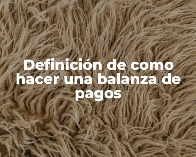 Definición de como hacer una balanza de pagos