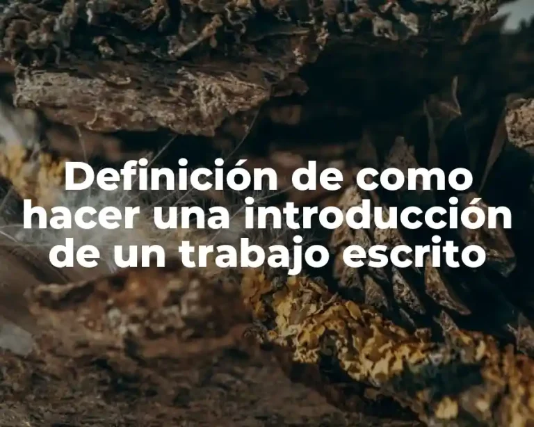 Definición de como hacer una introducción de un trabajo escrito