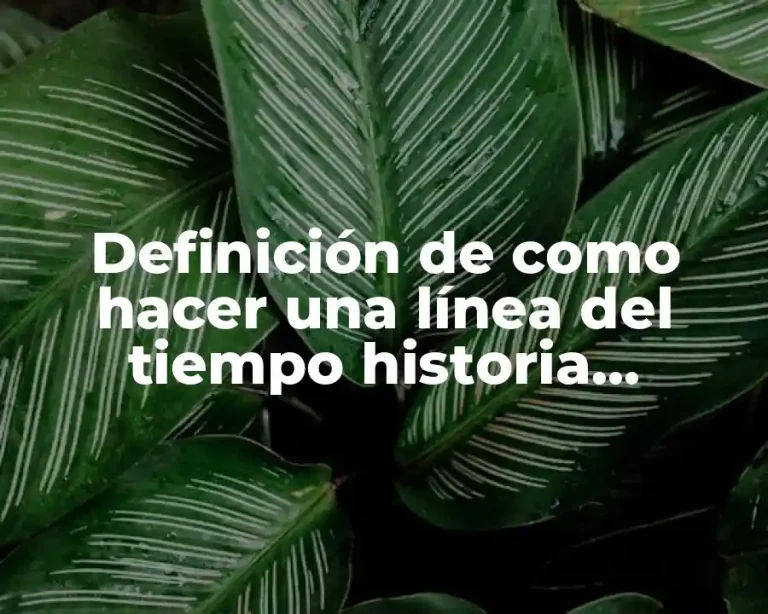 Definición de como hacer una línea del tiempo historia psicofarmacología