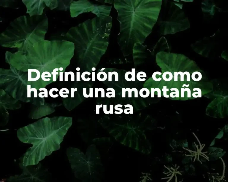 Definición de como hacer una montaña rusa