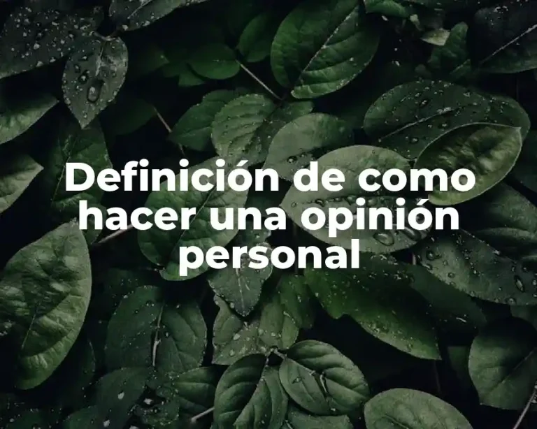 Definición de como hacer una opinión personal