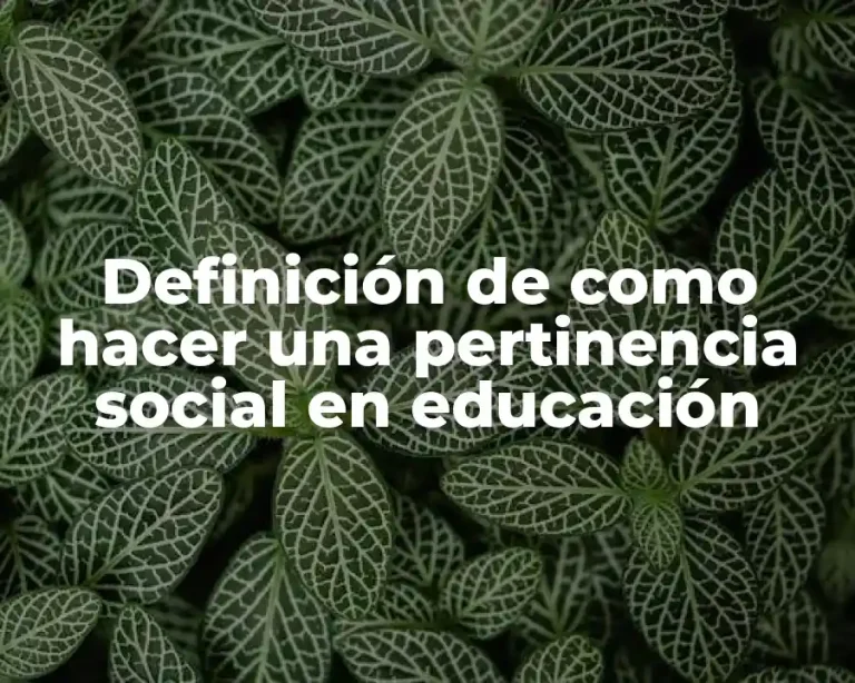 Definición de como hacer una pertinencia social en educación