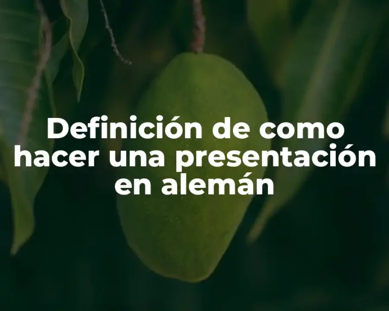 Definición de como hacer una presentación en alemán