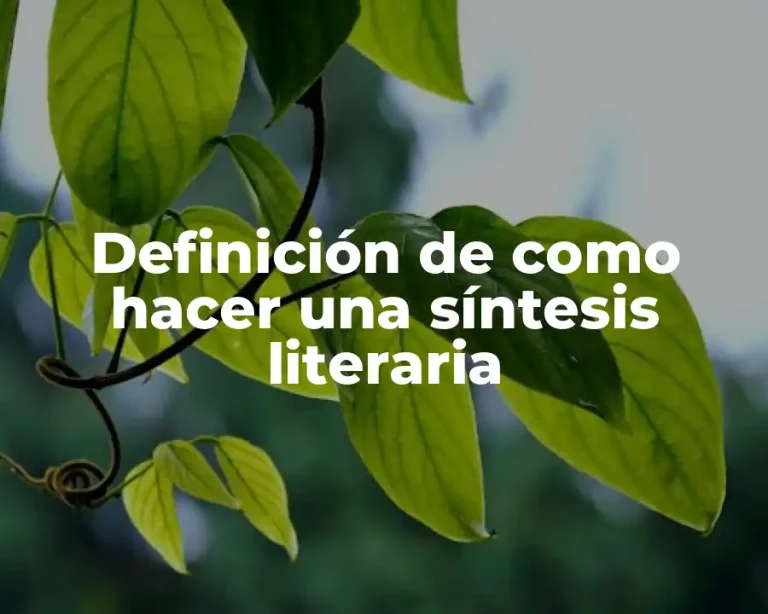 Definición de como hacer una síntesis literaria