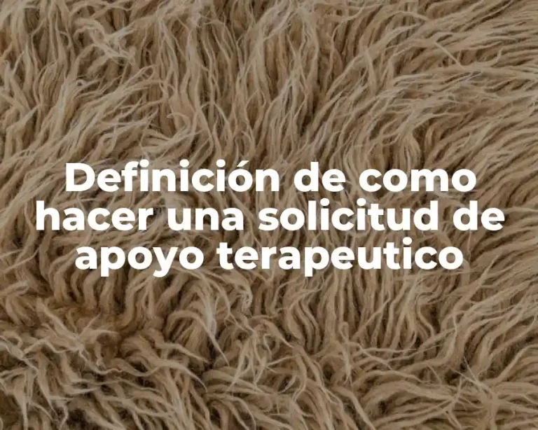 Definición de como hacer una solicitud de apoyo terapeutico