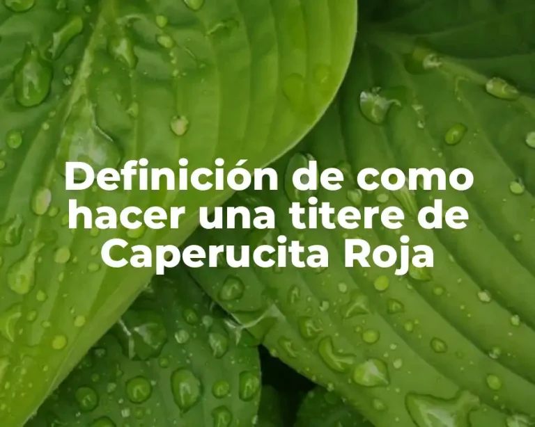 Definición de como hacer una titere de Caperucita Roja