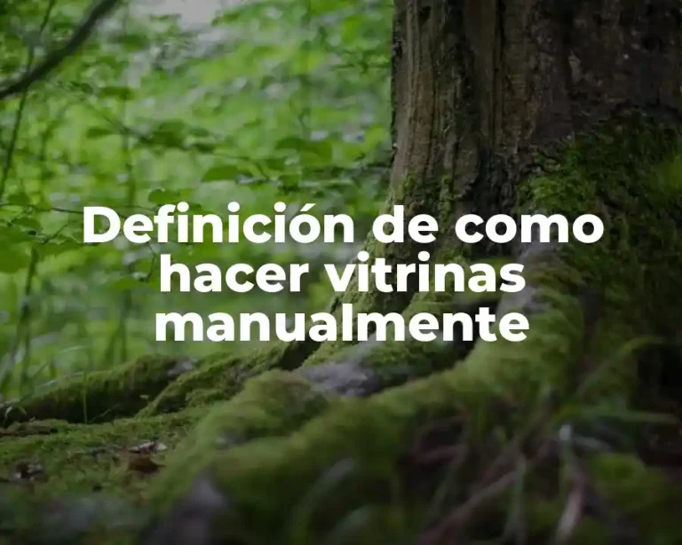 Definición de como hacer vitrinas manualmente