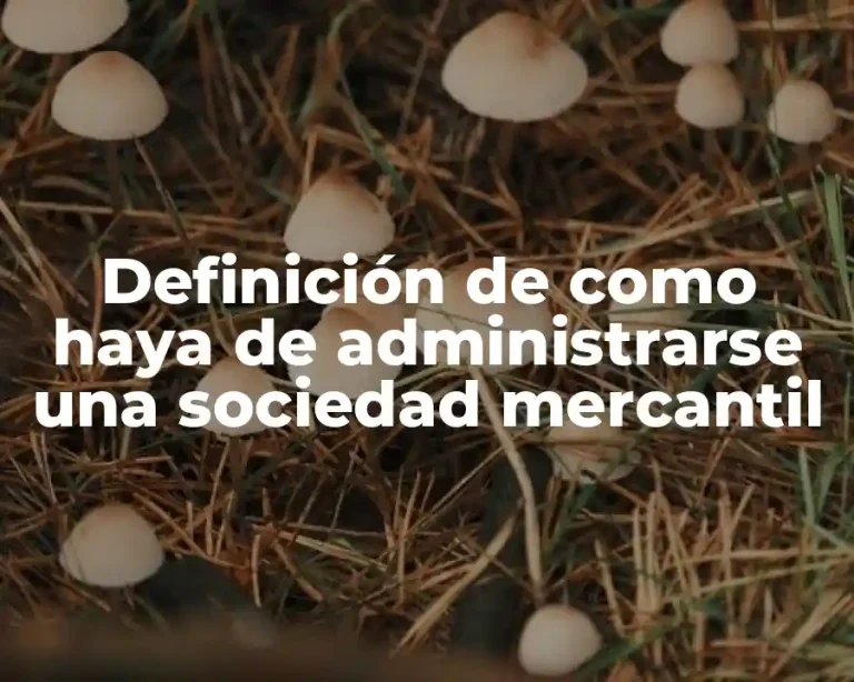 Definición de como haya de administrarse una sociedad mercantil
