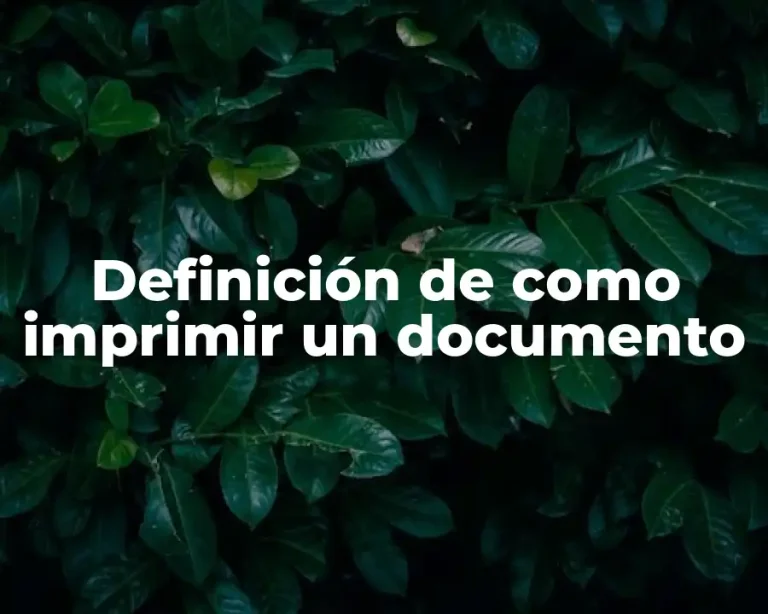Definición de como imprimir un documento
