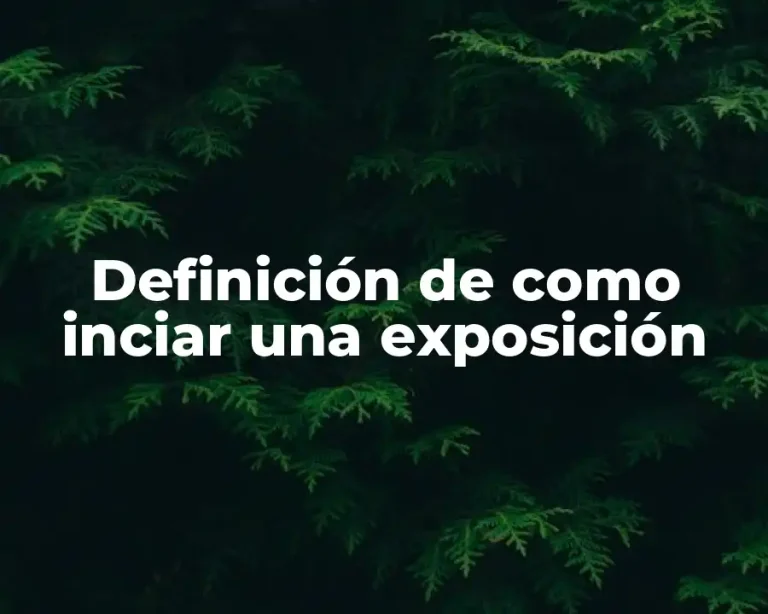 Definición de como inciar una exposición