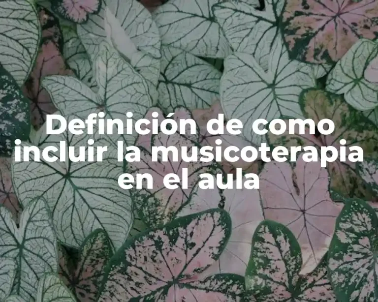 Definición de como incluir la musicoterapia en el aula
