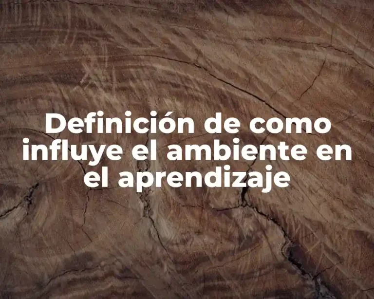 Definición de como influye el ambiente en el aprendizaje