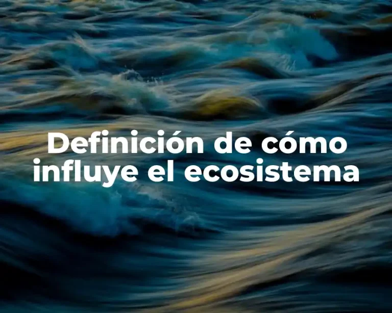 Definición de cómo influye el ecosistema