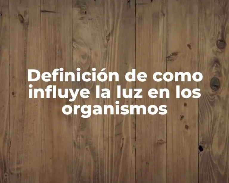 Definición de como influye la luz en los organismos