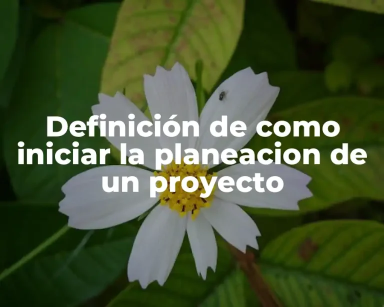 Definición de como iniciar la planeacion de un proyecto