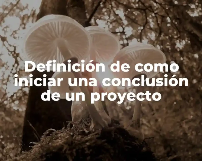 Definición de como iniciar una conclusión de un proyecto