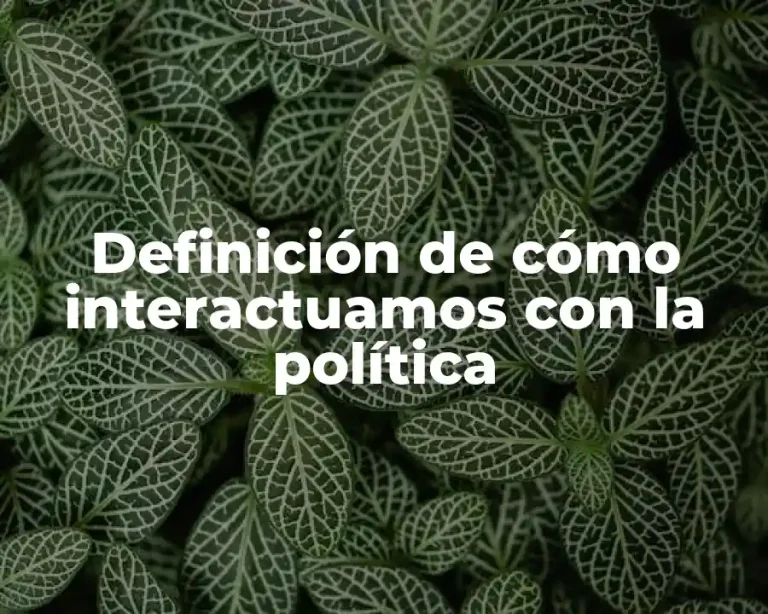 Definición de cómo interactuamos con la política