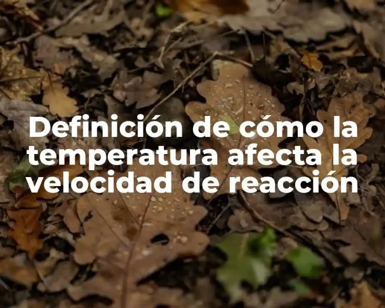 Definición de cómo la temperatura afecta la velocidad de reacción