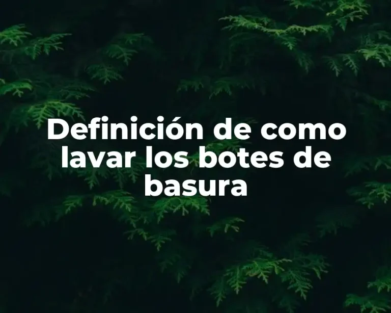 Definición de como lavar los botes de basura