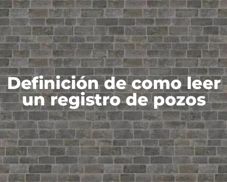 Definición de como leer un registro de pozos