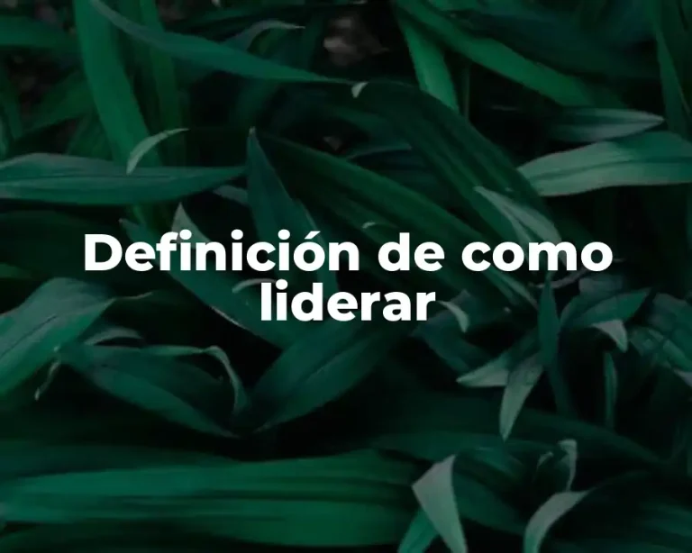 Definición de como liderar