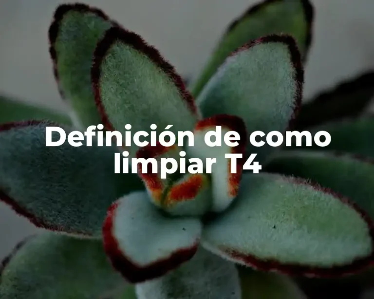 Definición de como limpiar T4