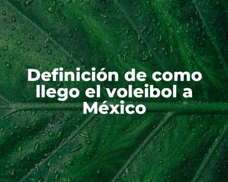 Definición de como llego el voleibol a México