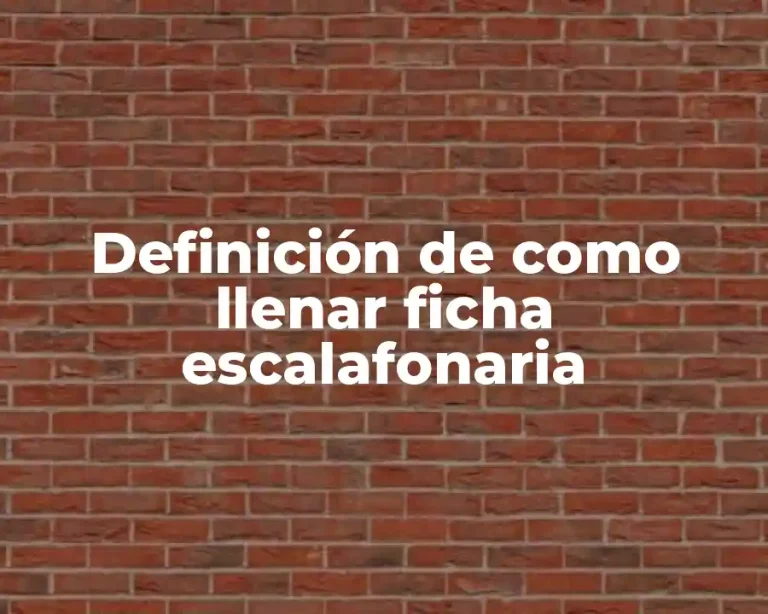 Definición de como llenar ficha escalafonaria