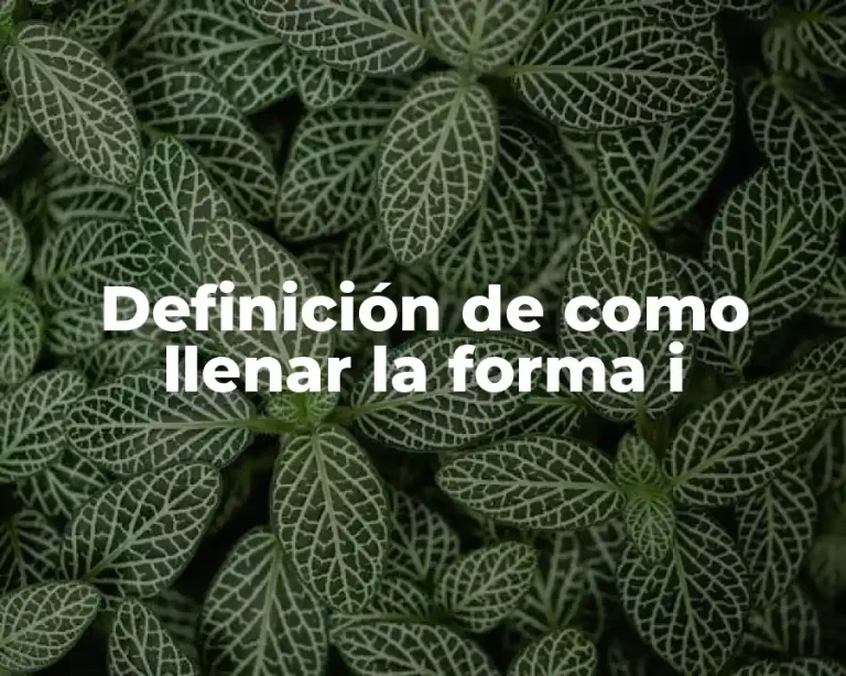 Definición de como llenar la forma i