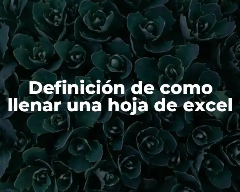 Definición de como llenar una hoja de excel