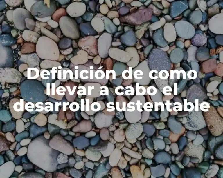 Definición de como llevar a cabo el desarrollo sustentable