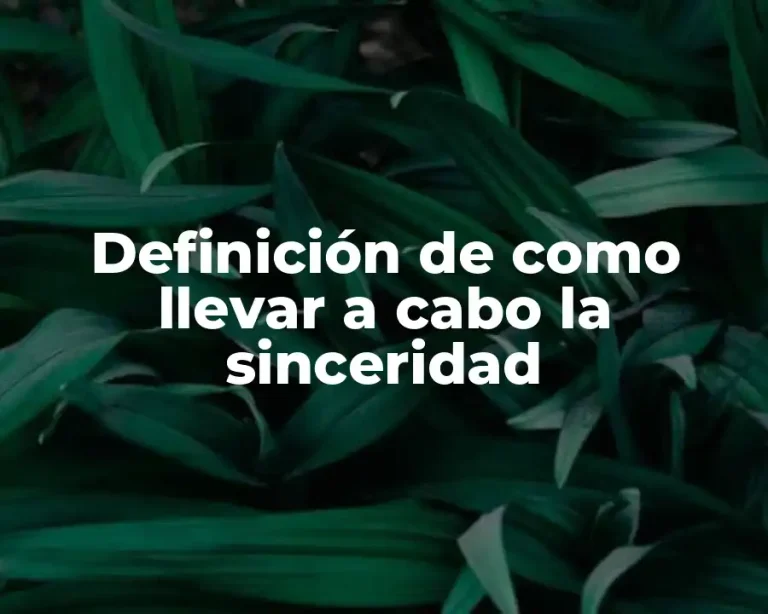 Definición de como llevar a cabo la sinceridad