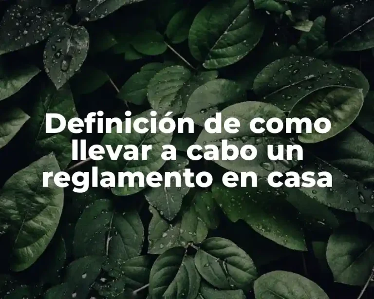 Definición de como llevar a cabo un reglamento en casa